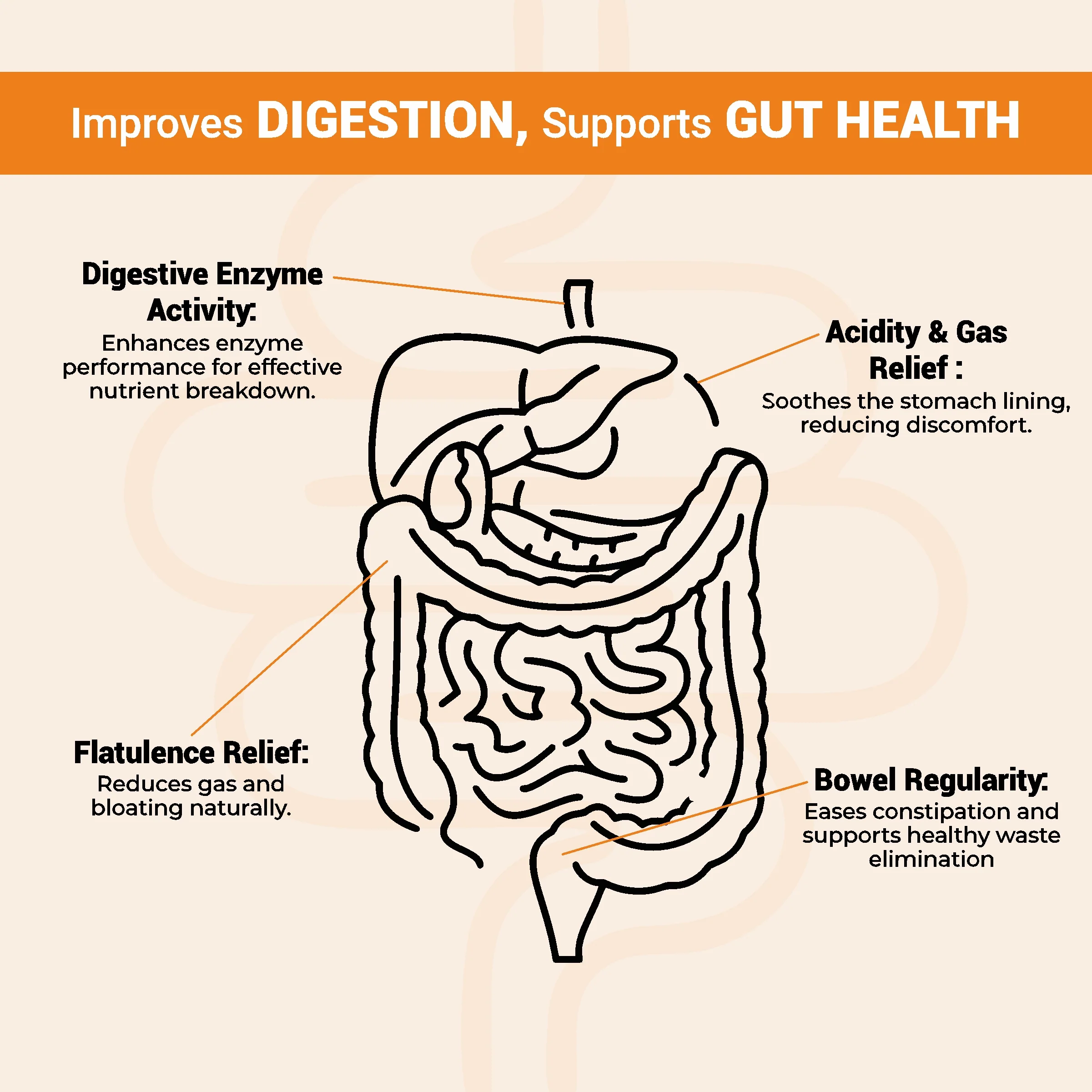 Cureveda Digest Elixir with Fermented Probiotics - Image 4