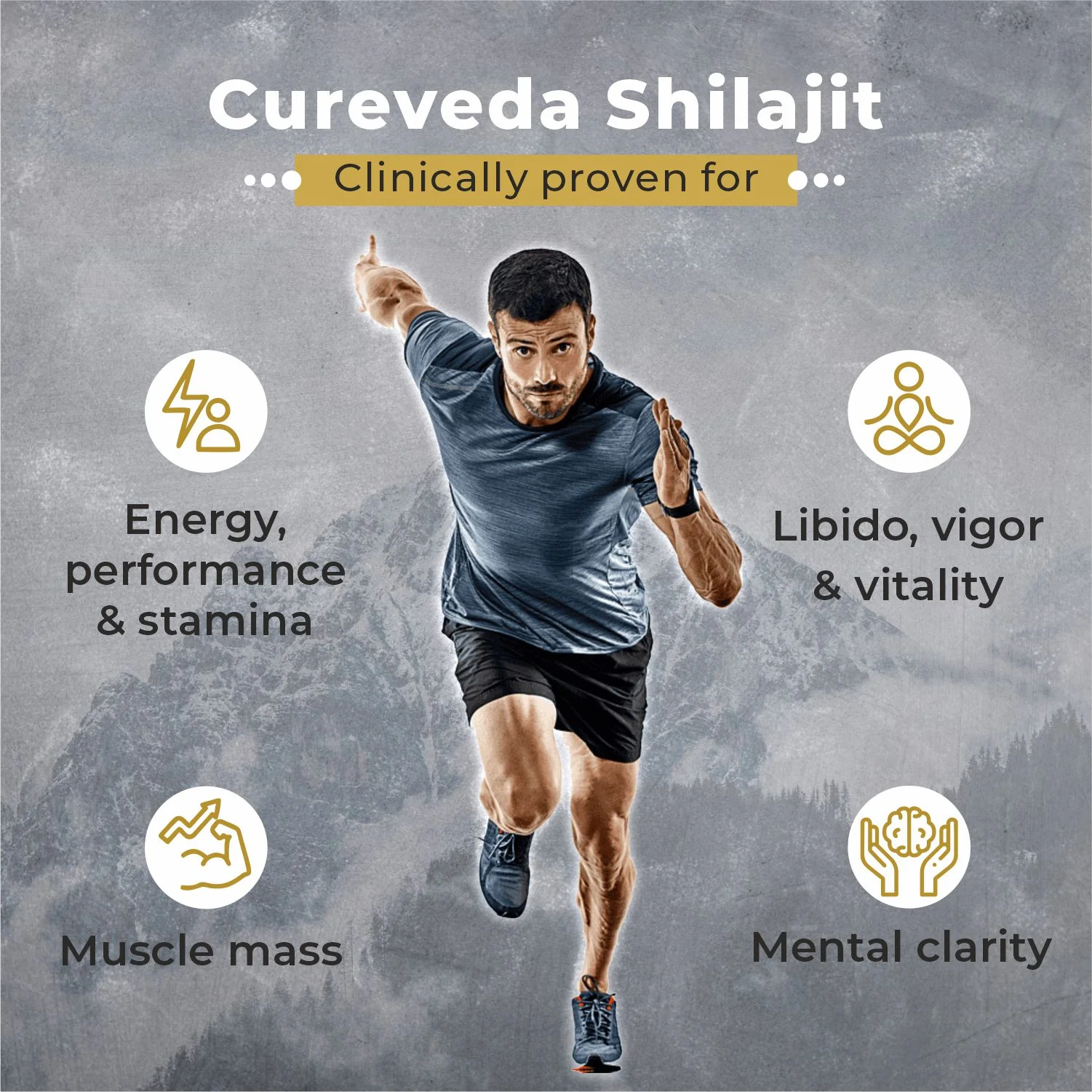 Cureveda Himalayan Shilajit Resin - Image 6