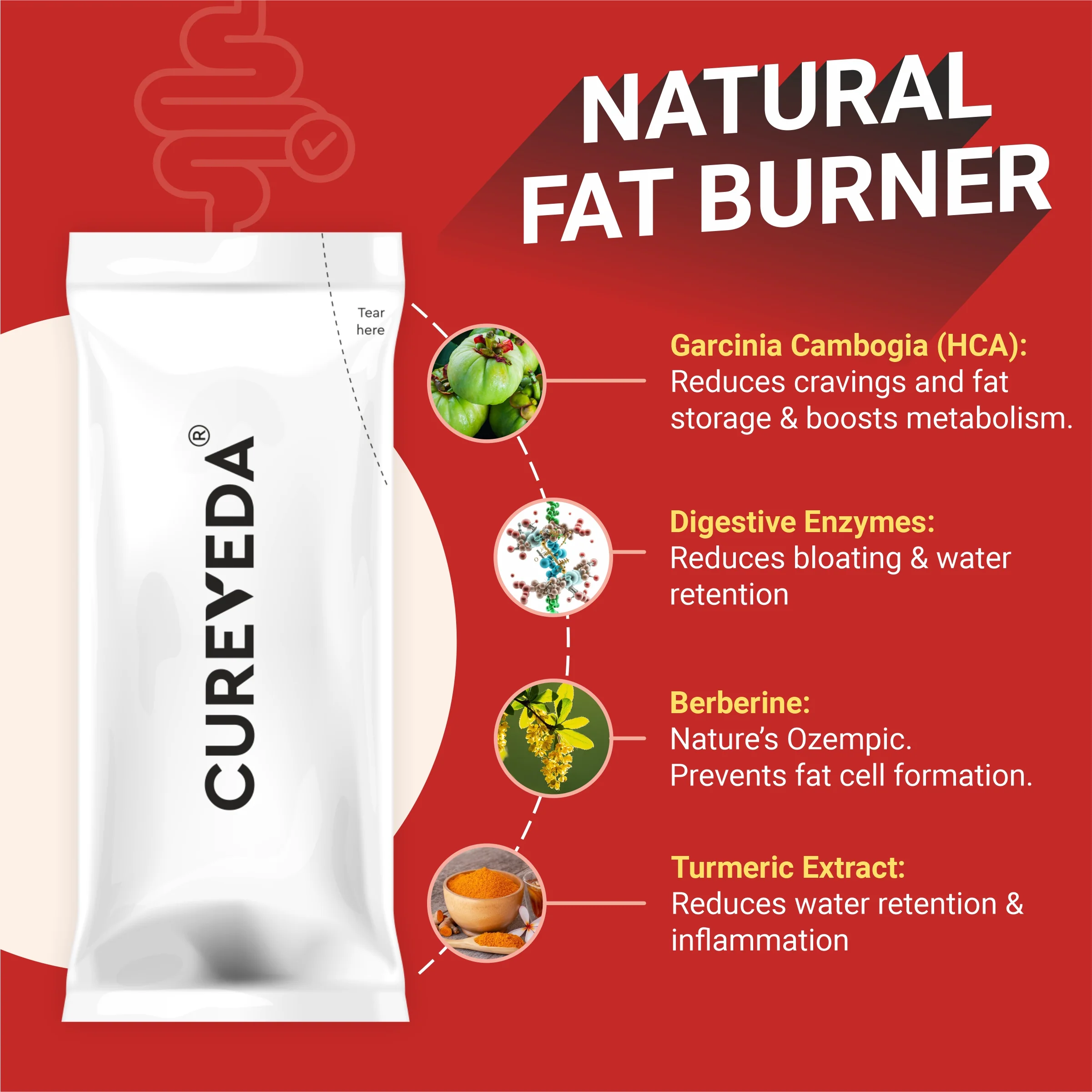 Weight-gut - with Digestive enzymes - Image 3